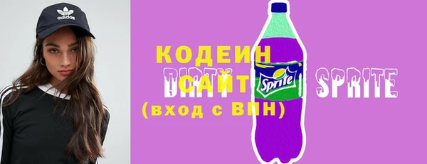 молекула духа Белоозёрский