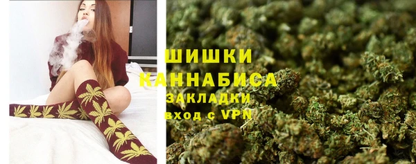 молекула духа Белоозёрский
