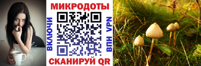 omg tor  Чаплыгин  Псилоцибиновые грибы GOLDEN TEACHER 